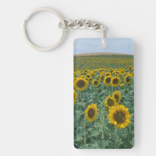 Llavero UE, Francia, Provenza, Campo de girasoles