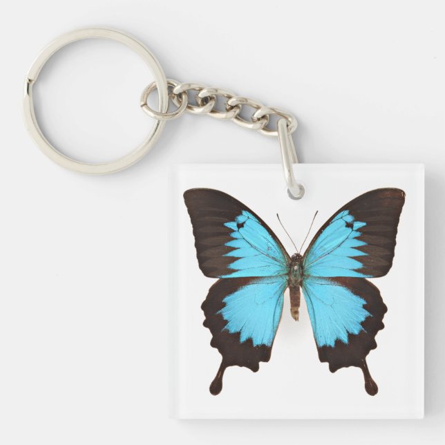 Llavero Ulysses Butterfly (Frente)