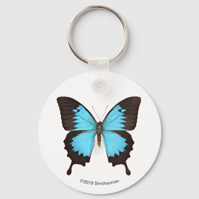 Llavero Ulysses Butterfly (Anverso)