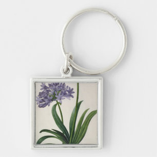 Llavero Umbrellatus del Agapanthus
