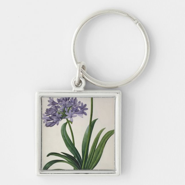 Llavero Umbrellatus del Agapanthus (Frente)