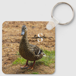 Llavero Un anillo de claves del pato mallard
