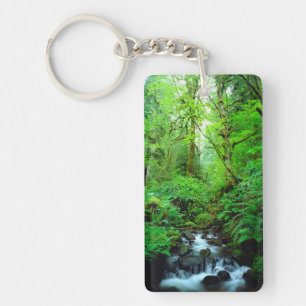 Llavero Un arroyo en un bosque de viejo crecimiento