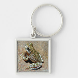 Llavero Un barranco Treefrog