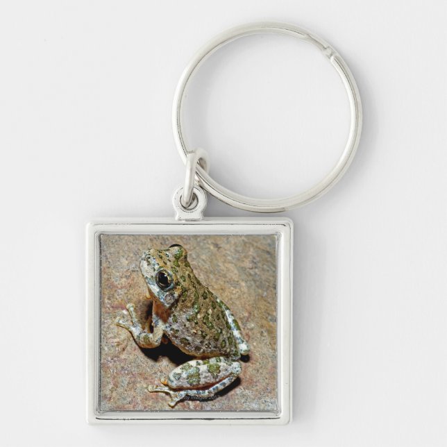 Llavero Un barranco Treefrog (Frente)
