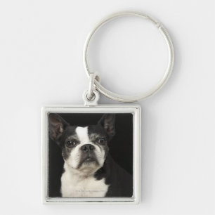 Llavero Un Bosten más viejo Terrier en fondo negro