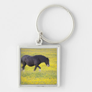 Llavero Un caballo que camina en un campo de flores