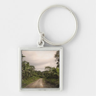 Llavero Un camino alejado de la selva