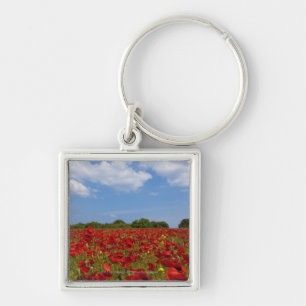Llavero Un campo por completo de flores rojas