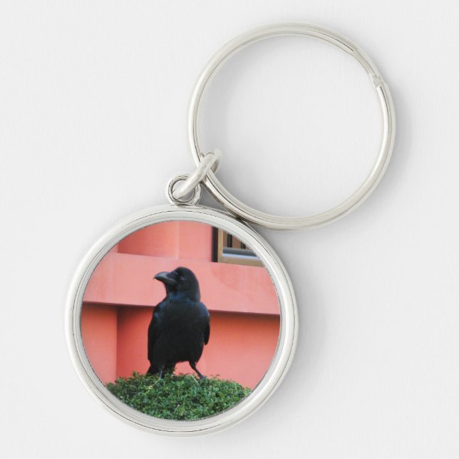 Llavero Un Círculo De Jungla De Gran Montura Una Percha En (Frente)