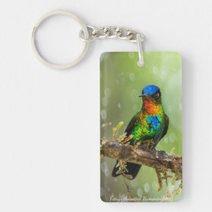 Llavero Un colibrí de garganta ígnea en el bosque nuboso