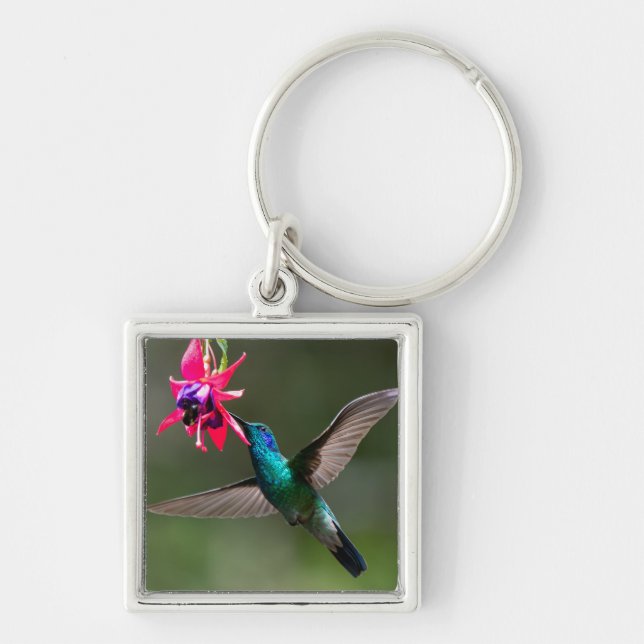 Llavero Un colibrí violeta menor (Frente)