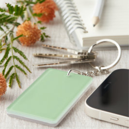Llavero Un fondo suave de color verde menta pálido
