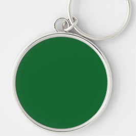 Llavero Un fondo verde sólido llena la imagen