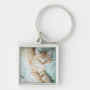 Llavero Un gatito de oro del color que se acuesta