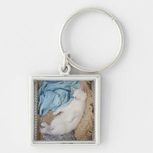 Llavero Un gato blanco que duerme en una cesta de
