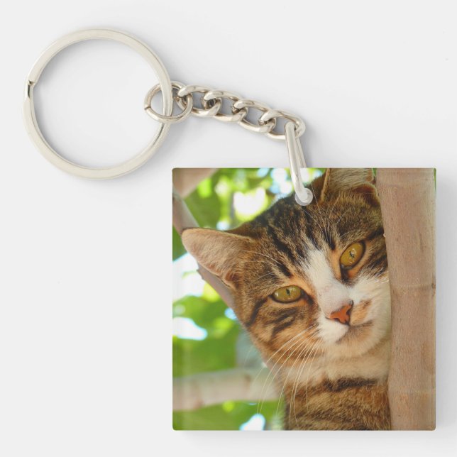 Llavero Un gato lindo trepando un árbol (Frente)