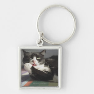 Llavero Un gato que lo lame es pata