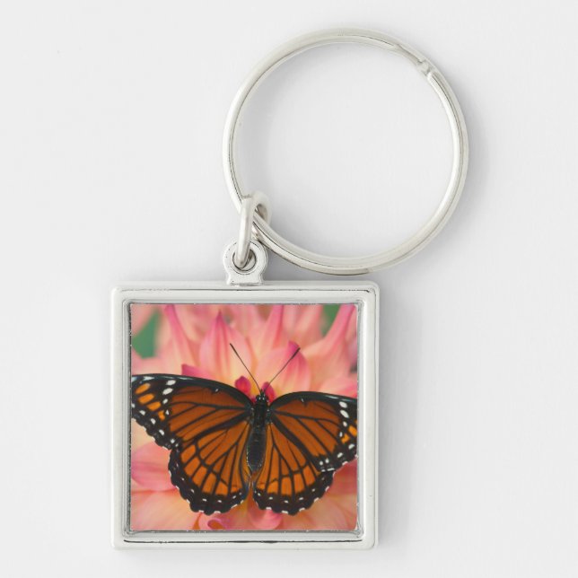 Llavero Un imitador de la mariposa monarca (Frente)