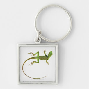 Llavero Un lagarto en la tierra blanca pura