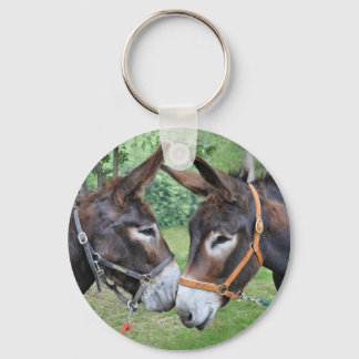 Llavero Un par de amigos burros