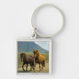Llavero Un par de ponis islandeses marrones