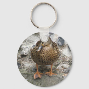 Llavero Un pato en una cadena de claves de pared