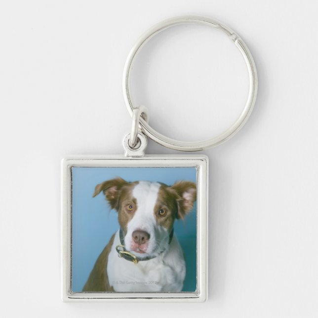 Llavero Un perro (Frente)