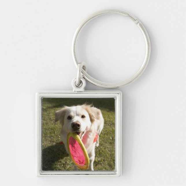 Llavero Un perro con un disco volador (Frente)