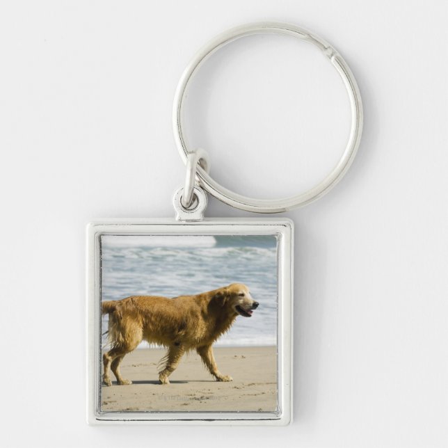 Llavero Un perro mojado en la playa (Frente)