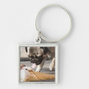 Llavero Un perro que come un helado de un pavimento