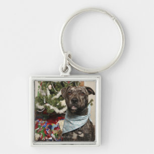 Llavero Un pitbull que presenta para un retrato del