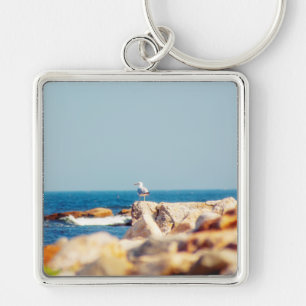 Llavero Un post de Gull