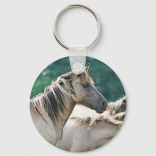 Llavero Un rebaño de caballos de Brumby de Australia