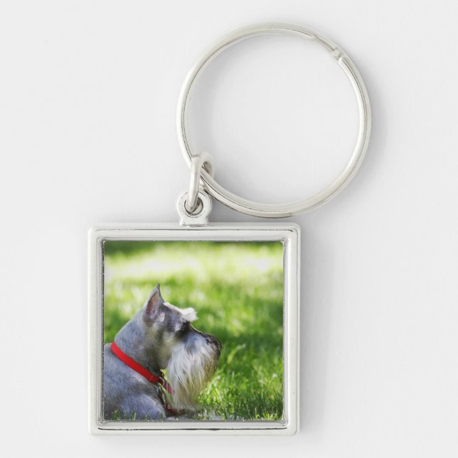 Llavero Un Schnauzer que pone en la hierba (Frente)