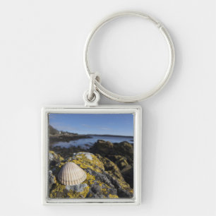 Llavero Un Seashell se sienta en una roca el   Dumfries,