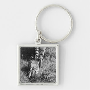 Llavero Un tigre con sus dos cachorros en el parque