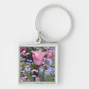 Llavero Un tulipán en los Jardines de Luxemburgo, París,