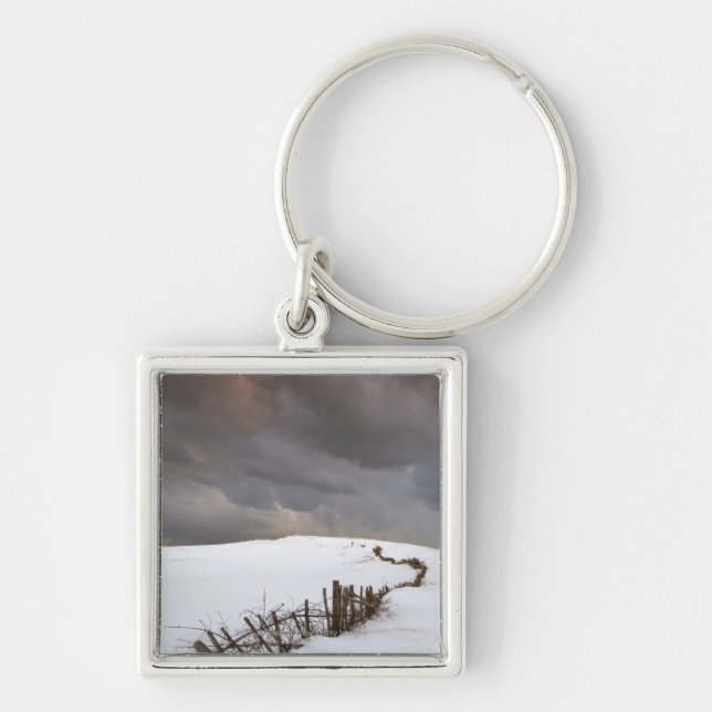 Llavero Una cerca quebrada a lo largo de un campo nevado (Frente)