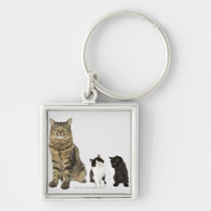 Llavero Una madre con sus cuatro gatitos toda la sentada