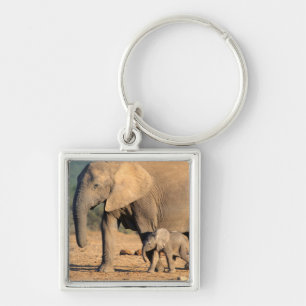 Llavero Una madre y cría de elefante africano en movimient