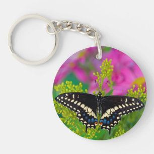 Llavero Una Mariposa Cola de Golondrina Aterrizando