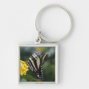 Llavero Una mariposa, en la familia de Swallowtails o