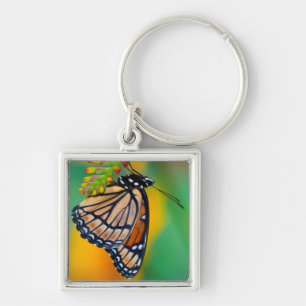 Llavero Una mariposa virrey en flores