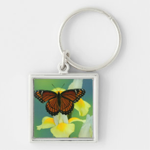 Llavero Una mariposa virrey en un iris japonés amarillo