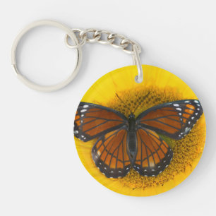Llavero Una mariposa virrey   Limenitis Archippus