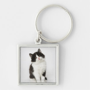 Llavero Una mirada que se sienta del gatito joven en la