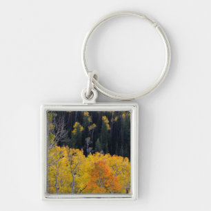Llavero Utah. EE. UU. Árboles de Aspen en Otoño en el Sevi