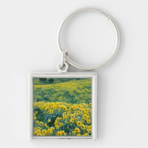 Llavero UTAH. EE. UU. Balsamorhiza