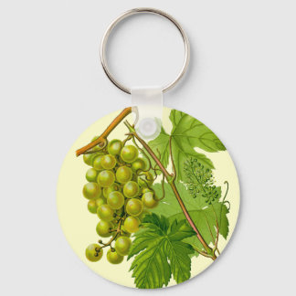 Llavero Uvas en la cadena de dibujo botánico del vino